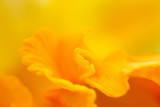 1756479 (a): :1920x1280